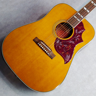 Epiphone Inspired by Gibson Hummingbird