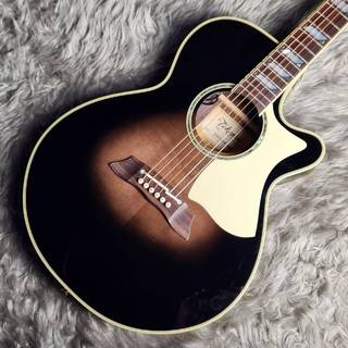 Takamine TSP10CS エレアコ