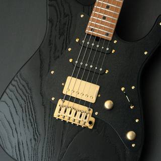エレクトリックギター、T's Guitarsの検索結果【楽器検索