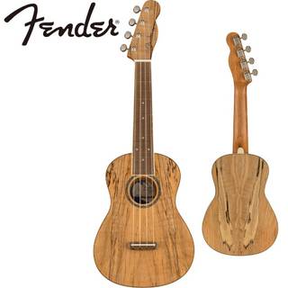 Fender AcousticsZUMA EXOTIC CONCERT UKULELE -Natural Spalted Maple-