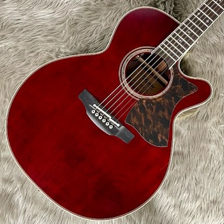 Takamine DMP50S WR エレアコギター セミハードケース付属 【島村楽器 x Takamine コラボモデル】