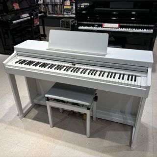 Roland RP701