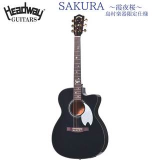 アコースティックギター、桜 OR sakuraの検索結果【楽器検索デジマート】