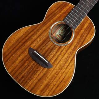 aNueNue aNN-AAA3　S/N：AM22005 【テナー】 【未展示品】