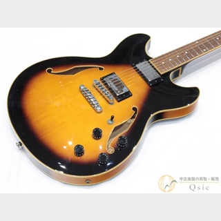 エレクトリックギター ＞ セミアコ、Ibanezの検索結果【楽器検索