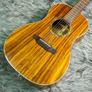 アコースティックギター／エレクトリック・アコースティックギター