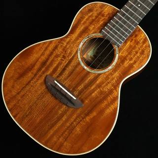 aNueNue aNN-AAA3　S/N：AM22025 【テナー】 【未展示品】