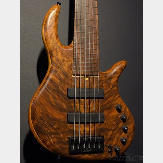 Elrick Gold Series E-volution 6 -34"Scale/Crotched Walnut Top-【4.58kg】【金利0%対象】