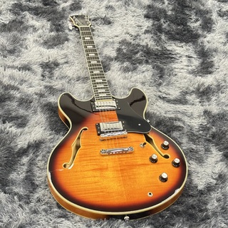 エレクトリックギター、Carltonの検索結果【楽器検索デジマート】