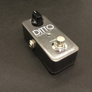 tc electronic Ditto Looper ルーパー