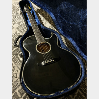 Fender EL RIO / See Through Black