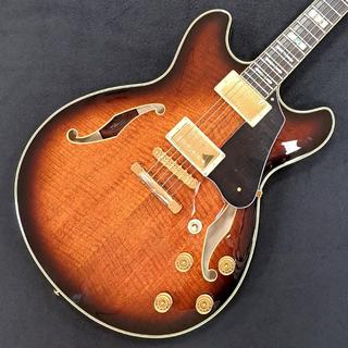 エレクトリックギター ＞ セミアコ、Ibanezの検索結果【楽器検索