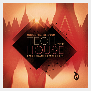 DELECTABLE RECORDS TECH TO HOUSE