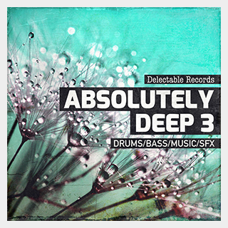 DELECTABLE RECORDSABSOLUTELY DEEP 03