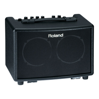 RolandAC-33