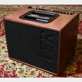 AERの検索結果【楽器検索デジマート】