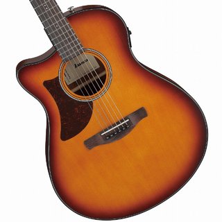 アコースティックギター／エレクトリック・アコースティック