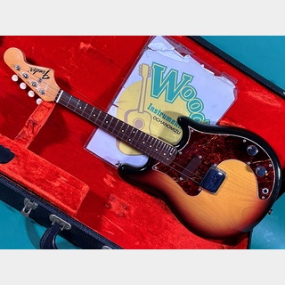 Fender、electric mandolin OR Mandocasterの検索結果【楽器検索