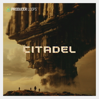 PRODUCER LOOPS CITADEL