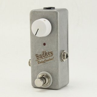 BadKeyの検索結果【楽器検索デジマート】