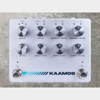 Darkglass Electronics KAAMOS