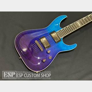 E-IIHORIZON NT-II Blue-Purple Gradation