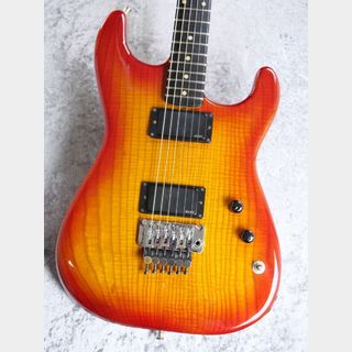 エレクトリックギター、フロイドローズの検索結果【楽器検索デジマート】