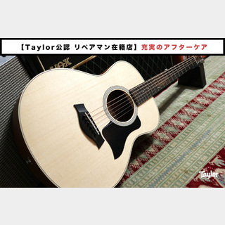 Taylor GS-Mini Sapele 【Taylor公認 リペアマン在籍店】