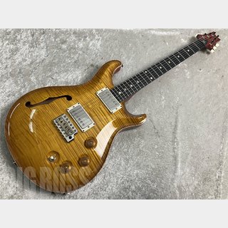 Paul Reed Smith(PRS)  DGT SEMI-HOLLOW LIMITED EDITION(McCarty Sunburst)