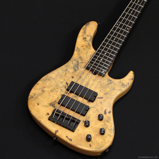 Sadowsky NYC Special Order Model - 24-Fret 5-String (2007)