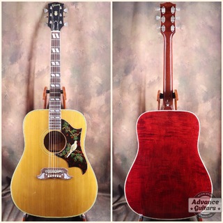 アコースティックギター、Gibson、Doveの検索結果【楽器検索デジマート】 アコースティックギター、Gibson、Doveの検索結果【楽器検索デジマート】