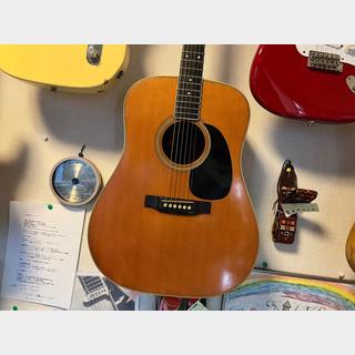 アコースティックギター、Martin、D-35の検索結果【楽器検索デジマート】