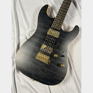 SAITO GUITARS S-622 WWA SC