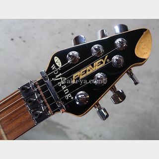 PEAVEY Wolfgang Standard Custom Shop 1'st / Build by John Douglas