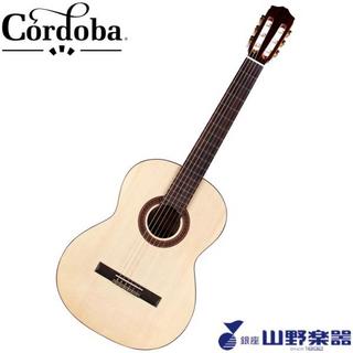 Cordobaクラシックギター C5 Spruce / Natural