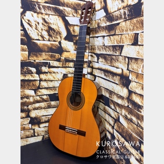フラメンコ・ギターの検索結果【楽器検索デジマート】