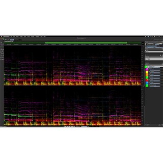 Steinberg 【Steinberg Pro Audio Sale 2024】SpectraLayers Elements 10 (オンライン納品)(代引不可)