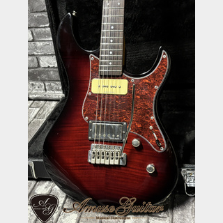 AMUSE GUITAR （埼玉県・川口市西川口） 【楽器検索デジマート】