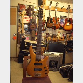 ProCeed ESP★極上のキルト★スルーネック★5弦オーダーメイド品★日本製 ProCeed ESP☆極上のキルト☆スルーネック☆5弦オーダーメイド品
