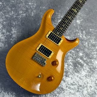 Paul Reed Smith(PRS) Paul Reed Smith(PRS) 2008 Custom 24 10Top