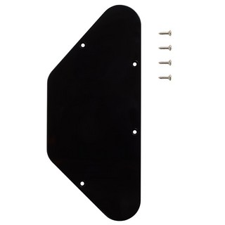 Gibson PRCP-020 SG Standard Control Plate / Black
