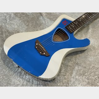 アコースティックギター／エレクトリック・アコースティックギター