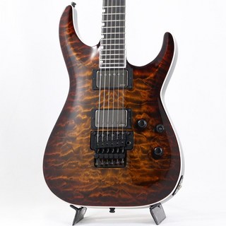 E-IIHORIZON FR-II (Tiger Eye Sunburst) [SN.ES3573233]