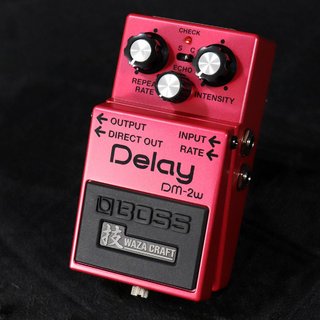 BOSS DM-2W WAZA CRAFT Delay 【梅田店】