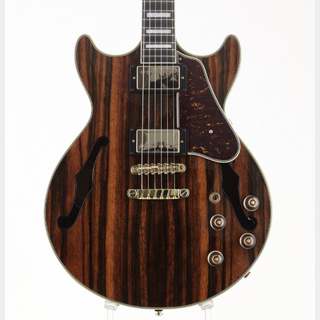 エレクトリックギター ＞ セミアコ、Ibanezの検索結果【楽器検索