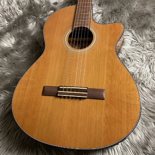 Fender CN-140SCE Nylon Thinline Natural 【現物画像】