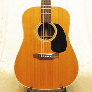 Martin D-28