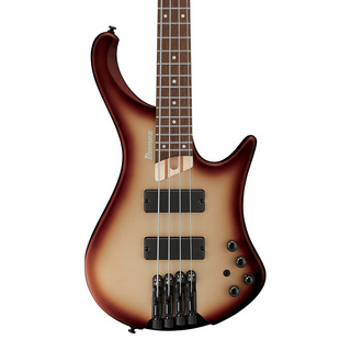 Ibanez EHB Workshop EHB600-CCM (Charred Champagne Burst Matte)【SPOTモデル】