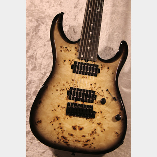 エレキギター、T's Guitarsの検索結果【楽器検索デジマート】