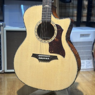 Bromo BAN2CE エレアコギター トップ単板【現物画像】